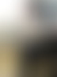 JEF Ronde 2 à Kain (Tournai)