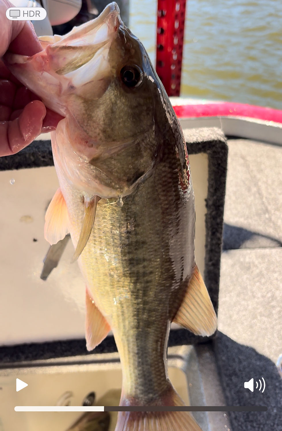 Mid Lake Report OCT 18-19