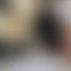 Smudge @ Hols Pets: Cat Sitting. 