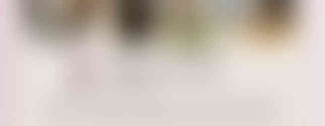 Hols Pets: Review From Our Client - Tigger, Tillie, Millie & Smudge, Cat Sitting.