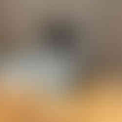 Jacob holding silvervine stick