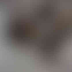 Trixie loves the silvervine stick