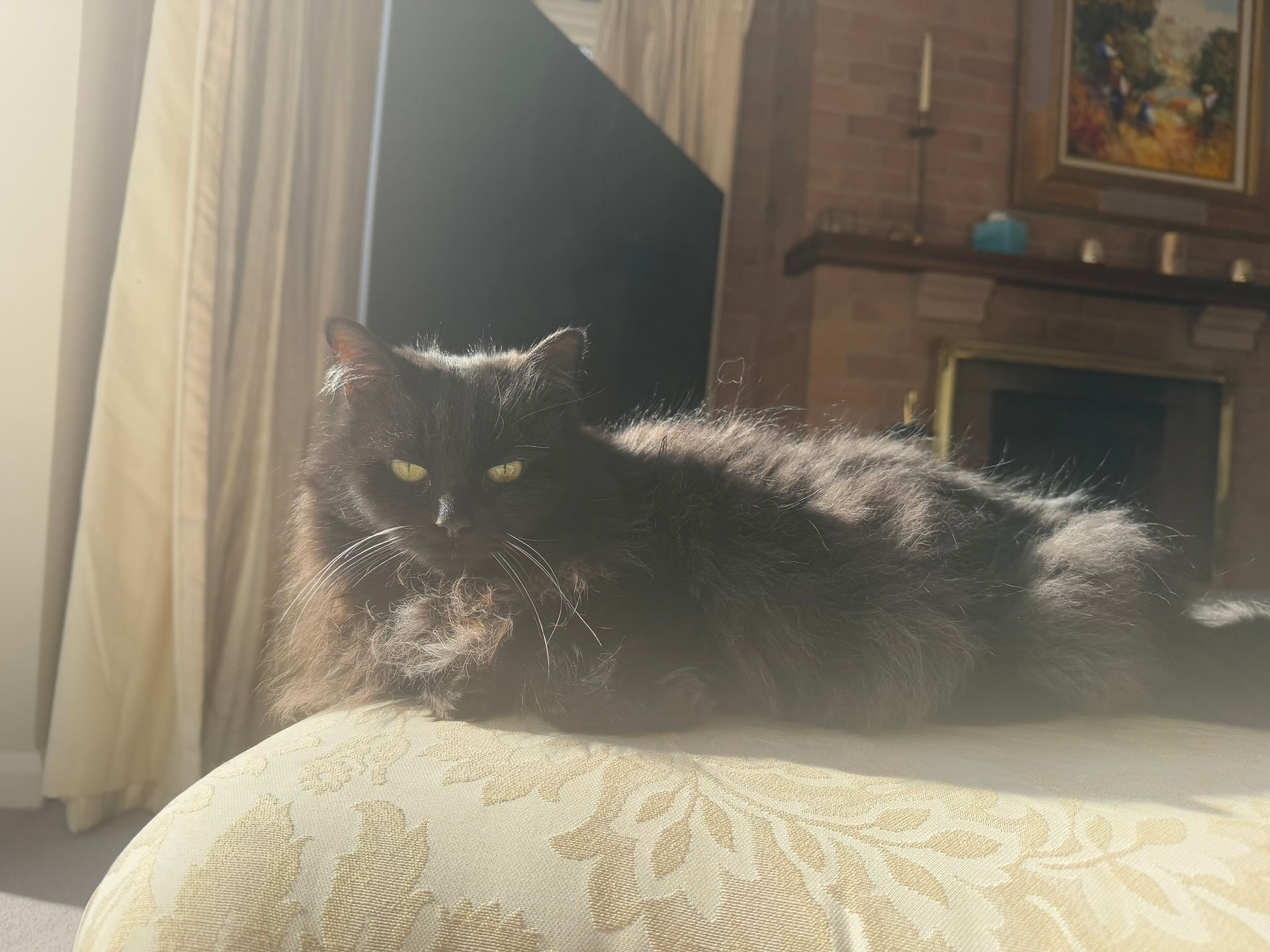 The queen of sunbathing.