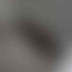 Mia playing with silvervine