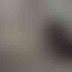 Mia tasting the silvervine stick