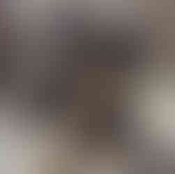 Paws of my silvervine stick!