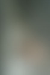 NIKE SB DUNK LOW PRO HJ4135-600