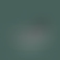 Nike SB Dunk High Pro DQ3757-300