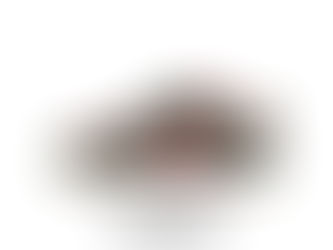 NIKE SB DUNK LOW PRO FZ1287-300