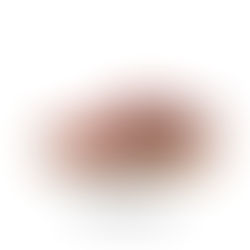 NIKE SB DUNK LOW PRO HF3704-800 “Burnt Sunrise / Vintage Green”