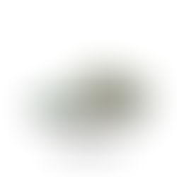 NIKE SB DUNK LOW QS HJ3386-300