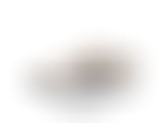 NIKE SB DUNK LOW PRO QS"Albino & Preto"