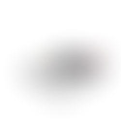 NIKE SB ZOOM POGO PLUS