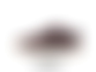 NIKE SB DUNK LOW PRO IO2304-600