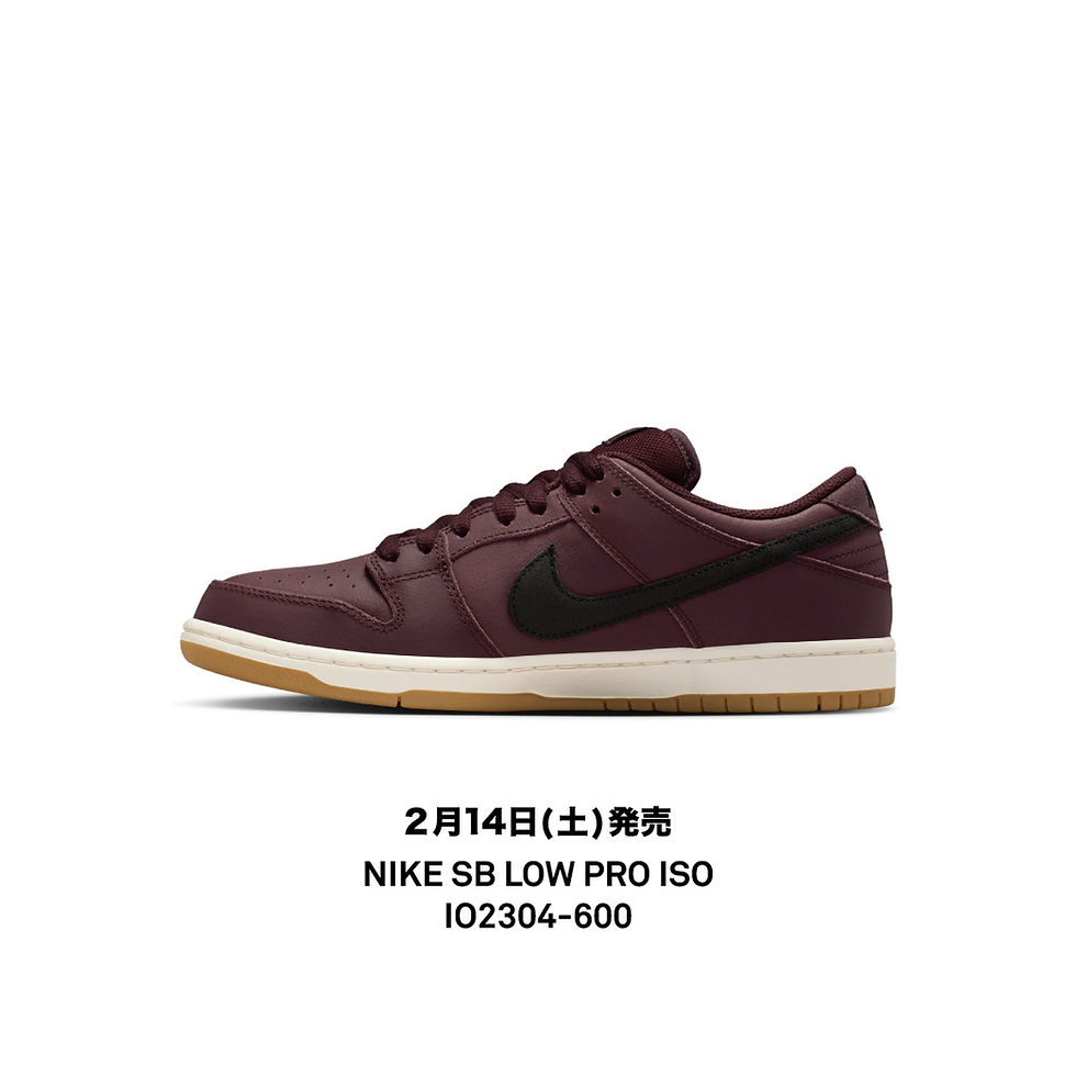 NIKE SB DUNK LOW PRO IO2304-600