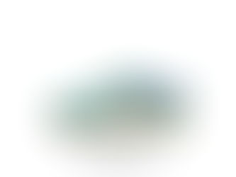 NIKE SB DUNK LOW PRO QS (PS) VISTY BY VERDY