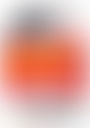 ジャックモバイル会員限定!NIKE SB シューズ全品10%OFF!