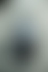 NIKE SB DUNK LOW PRO HF3704-003 / HF3704-100