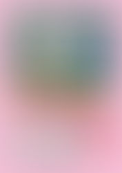 5月18日限定!お得なスケートパーク利用券を販売します