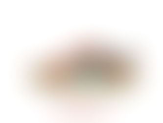 NIKE SB DUNK LOW PRO PRM