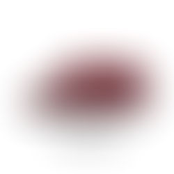 Nike SB Dunk Low Pro DM0807-600