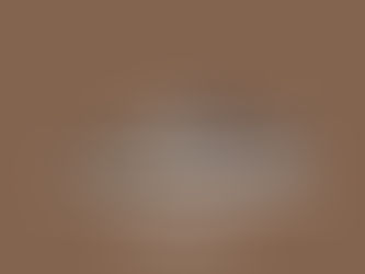 Nike SB Dunk Low Pro DH7534-200