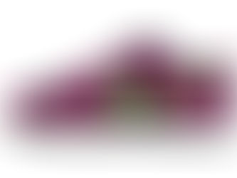 NIKE SB DUNK LOW PRO