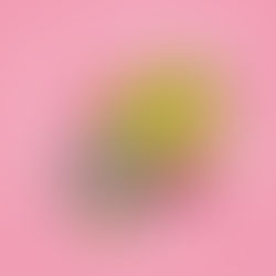 父の日は、スケートパーク無料の日!