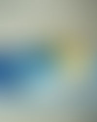 NIKE SB DUNK LOW PRO IR1888-700