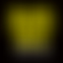 BLACK FRIDAY SALE開催! 11/23~11/26