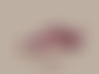 Nike SB Dunk Low Pro QS