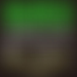 ジャックスケートボードスクールのご案内