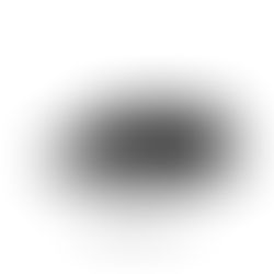 Nike SB Dunk Low Pro