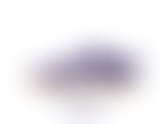 NIKE SB LOW PRO ISO DV5464-500