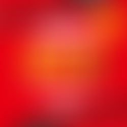 55周年記念ファイナルセール!