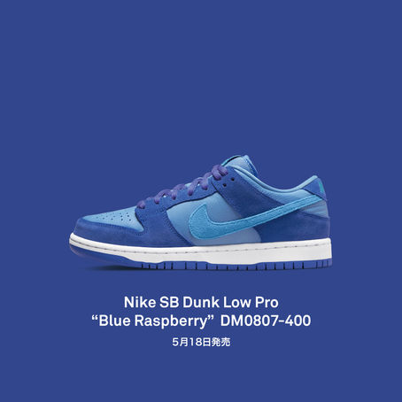 Nike SB Dunk Low Pro DM0807-400