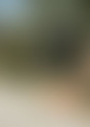 WOODY PRESS サーフスケート試乗会開催