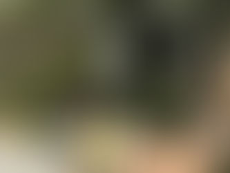 WOODY PRESS サーフスケート試乗会開催