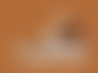 Nike SB ZOOM BLAZER MID ISO【DC8911-200】