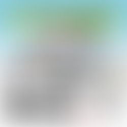 2024.3.9 JACK SKATEPARK NEW OPEN