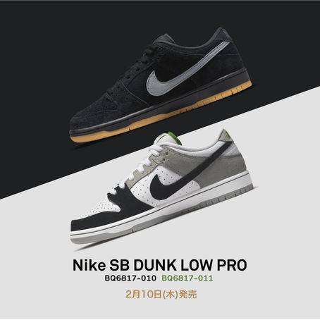 Nike SB Dunk Low Pro