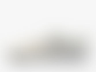 NIKE SB Ishod Wair Premium