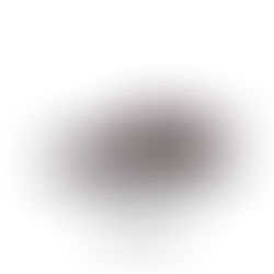 NIKE SB DUNK LOW PRO FZ1289-200