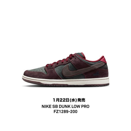 NIKE SB DUNK LOW PRO FZ1289-200