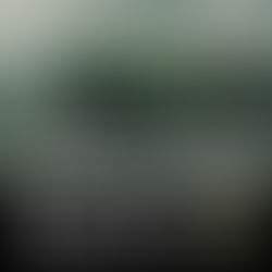 チャンネルアイランド試乗会開催!