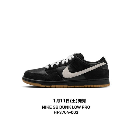 NIKE SB DUNK LOW PRO HF3704-003