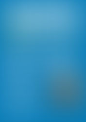 11月のスケートボードスクールのご案内