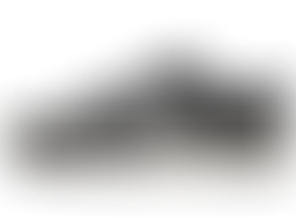 NIKE SB DUNK LOW OG QS