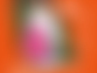 GW限定 ノベルティキャンペーン開催