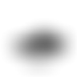 NIKE SB ZOOM JANOSKI OG+